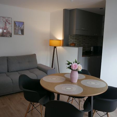 Free Garage In The Center-Delicia 4 Studio! Sibiu Luaran gambar
